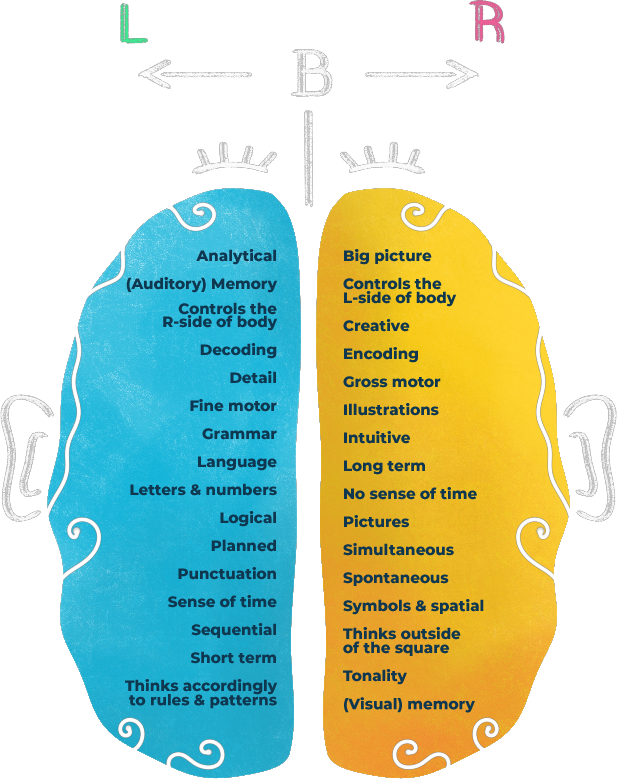 The left and right sides of our brains with descriptions of the areas they handle,